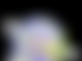 Puskarich Kids Country Report - New Zealand, the North Island 