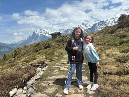 Switzerland - Wengen (cows and karaoke)
