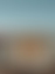 A Poetic Wedding at The Manor House: Dylan & Amanda’s Story in the Foothills of Colorado