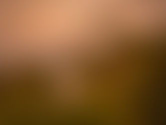  Destination Wedding in Kapalua, Hawaii at Sunset 