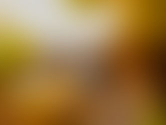 Janet and Joshua's Romantic Elopement in Wailea, Hawaii