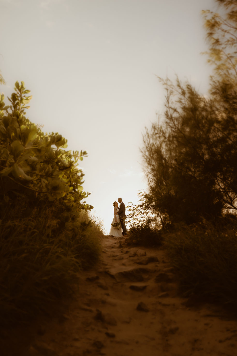 pin eye looking photo with forest of wedding couple maui photographer colleens captures