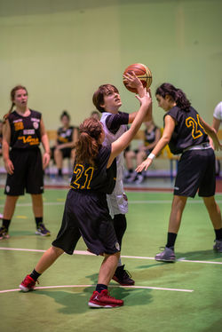 Basket102