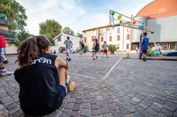 Basket208