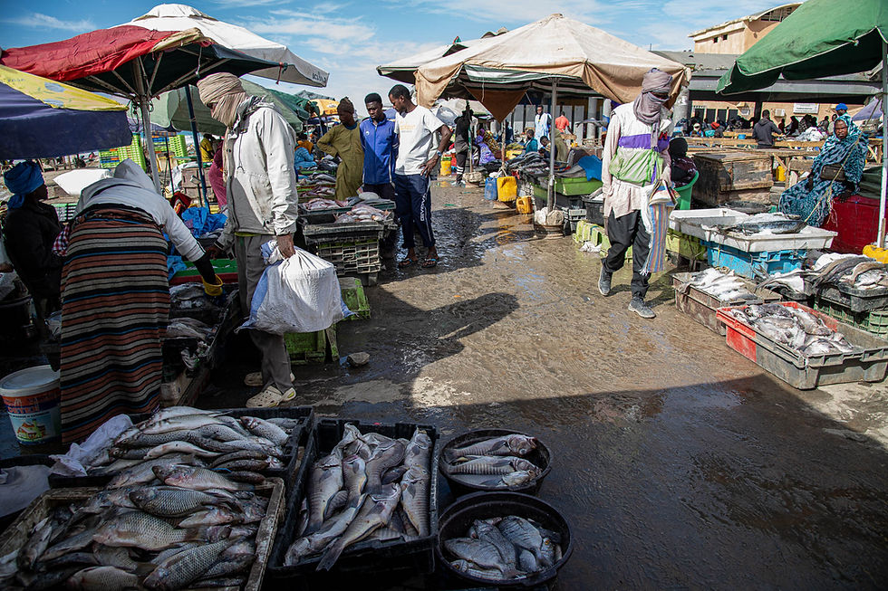 Mercato del pesce di Nouakchott