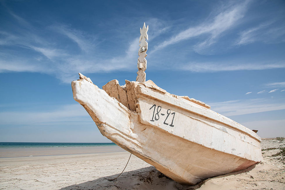 DISPACCI DALLA MAURITANIA - IX