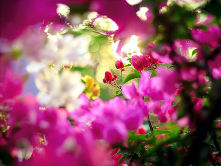 #30: The Healing Space