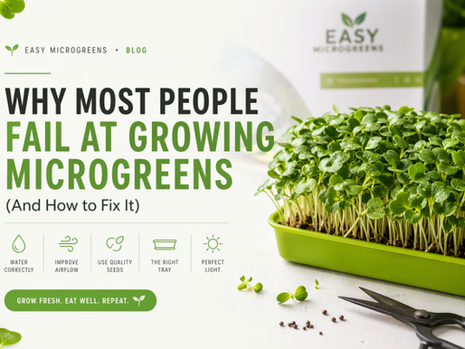 Why Most People Fail at Growing Microgreens (And How to Fix It)