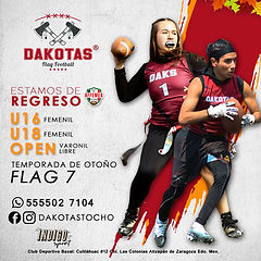 regreso todas_flag 7.jpg
