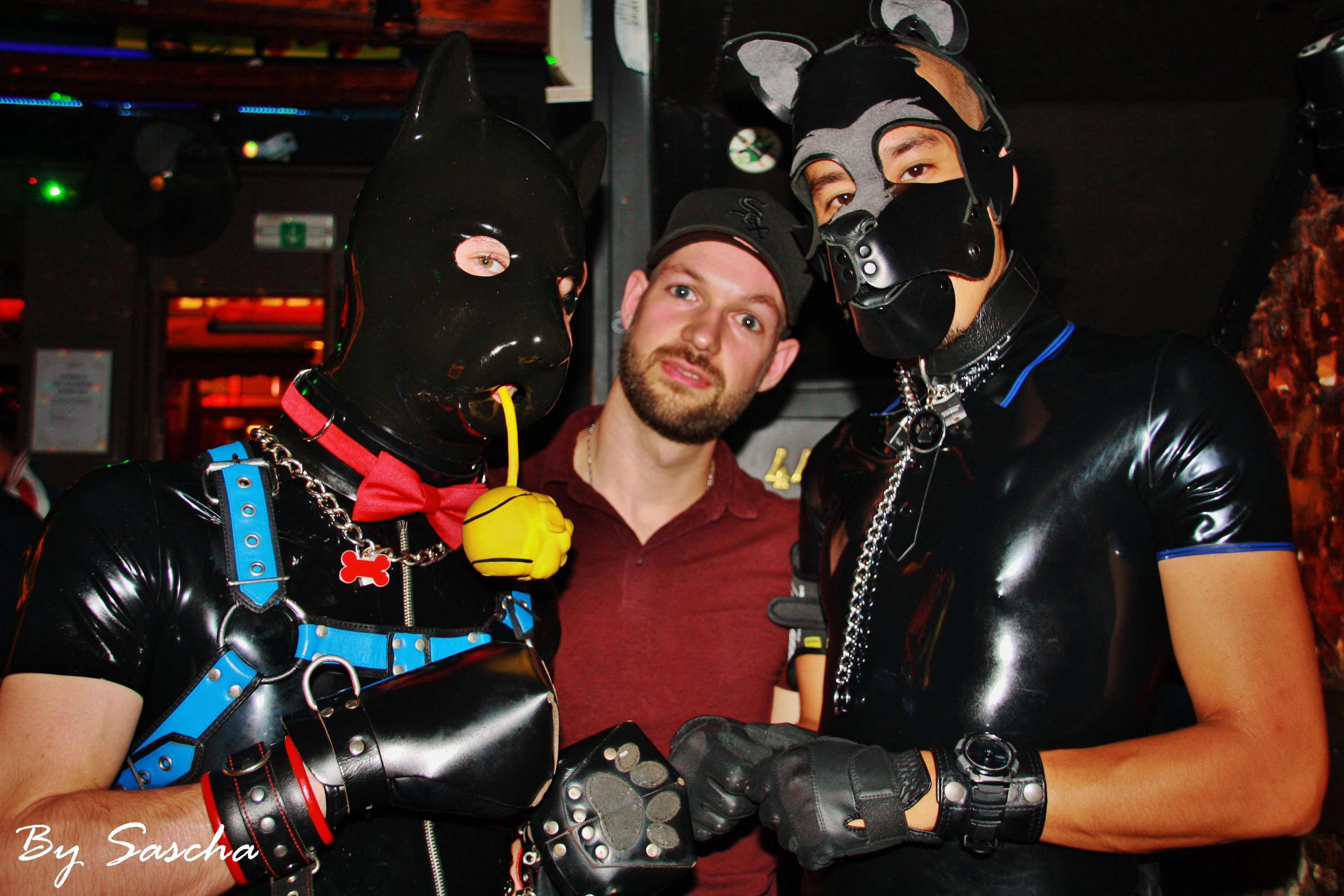 Paw & Bark #1