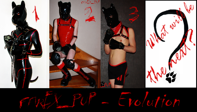 Farex_Pup Evolution