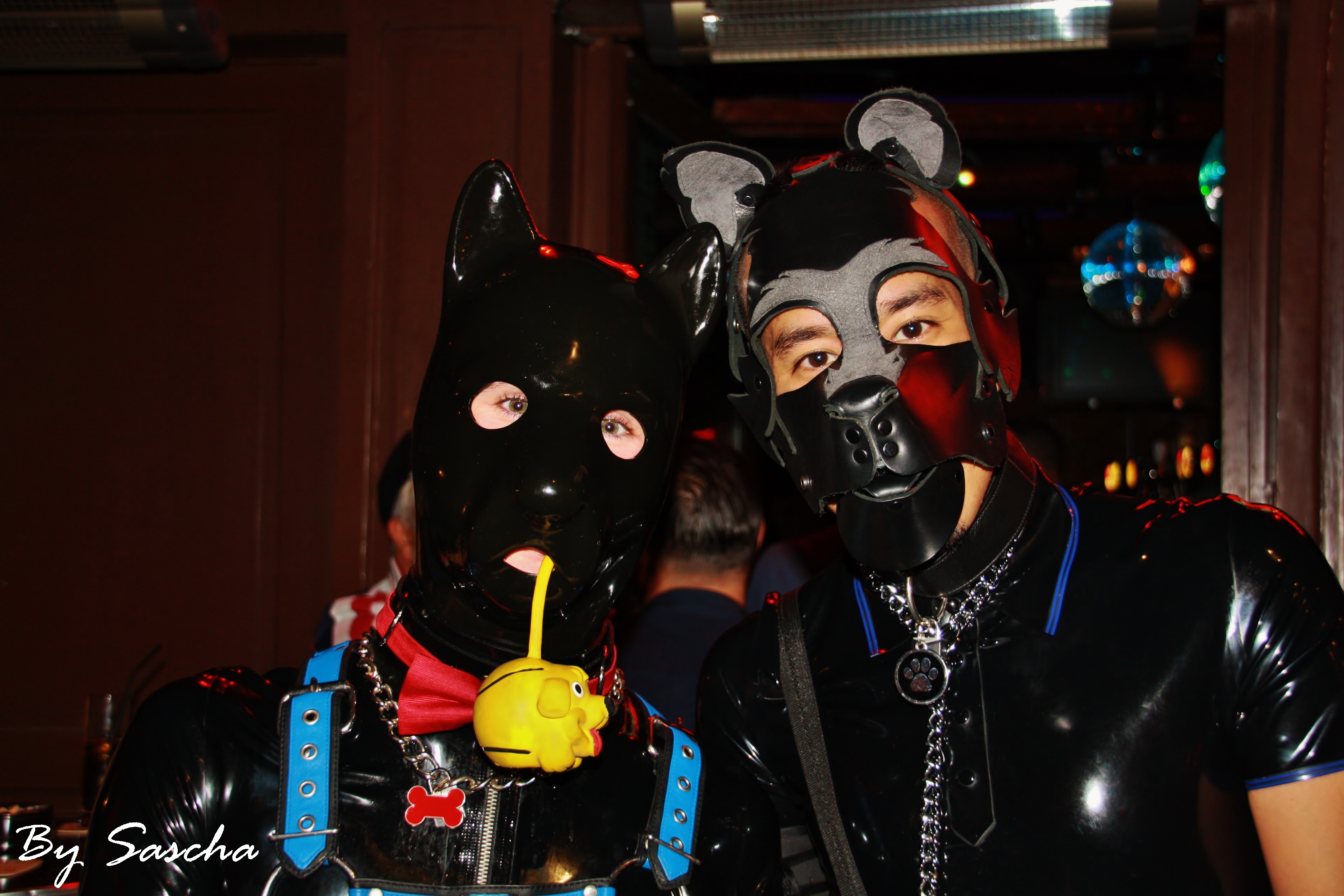 Paw & Bark #1