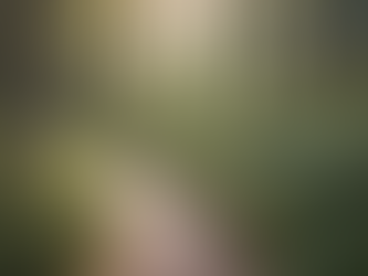 Expert Tips for Navigating Parenthood Stress