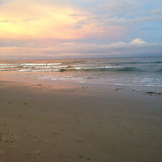 Shark Tooth Hunting