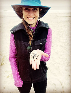 fossil hunting Myrtle Beach