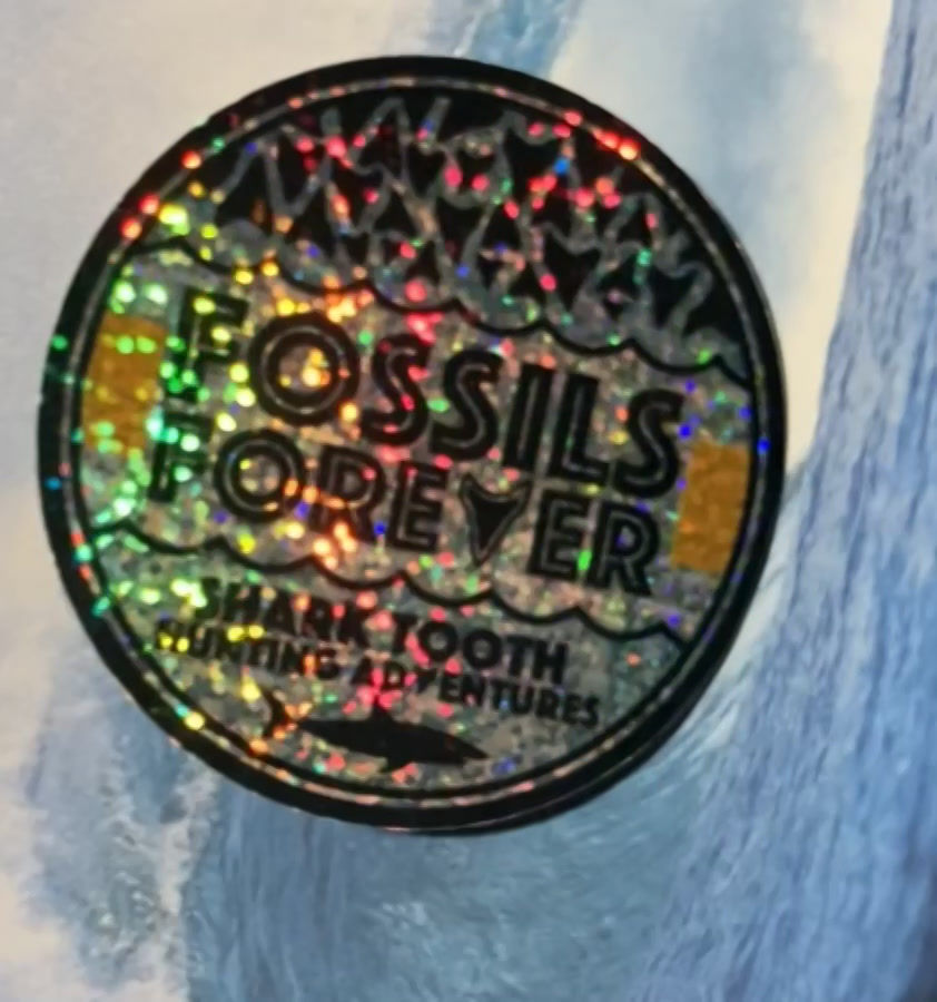 Thumbnail: 3 inch Glitter Logo Sticker