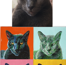 Painting Commission, Russian Blue cat montage, commission gallery