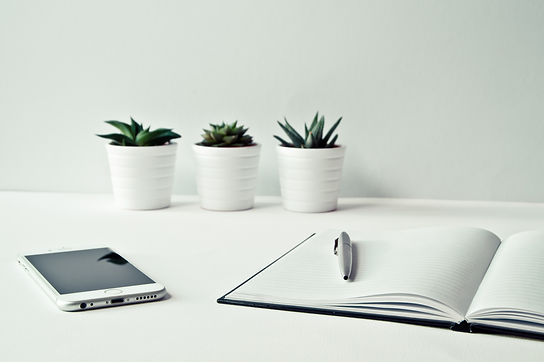 tribe coaching and consulting ireland.jpg