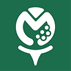 LOGO.png