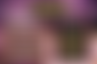 ㈱イシキストpresents PFC.40/STONES&ROOKIES 試合結果