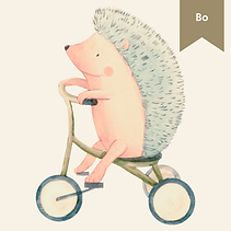 Bo The Hedgehog Riding A Tricycle From Oxford & Bo Online Store