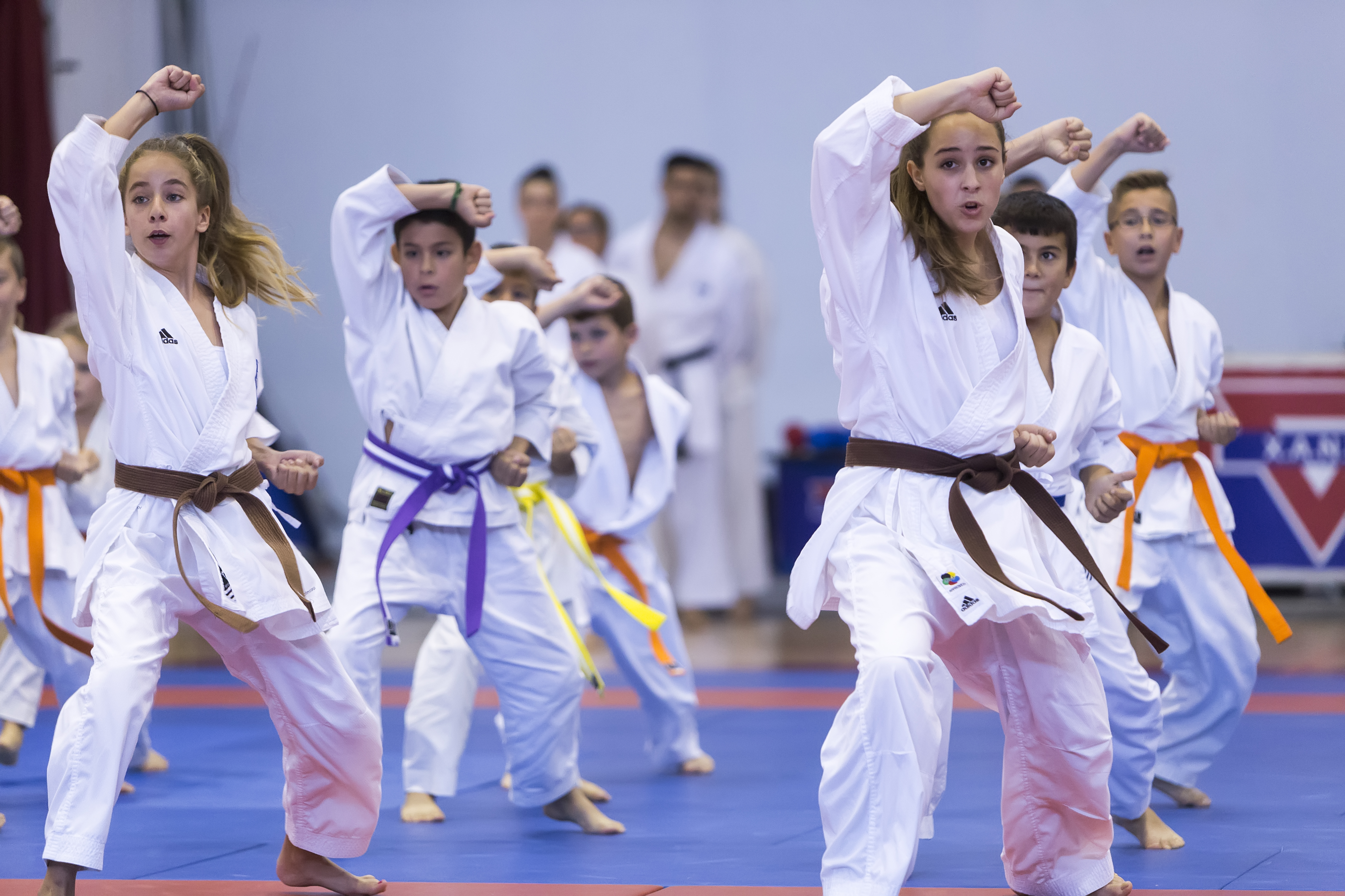 katy tx mixed martial arts training