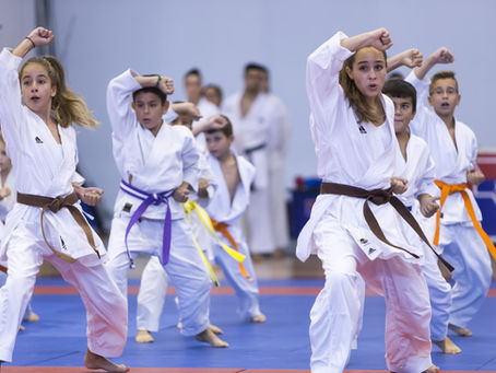 Katy Kids 2019 Extracurricular and Sports Guide