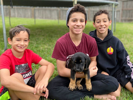 Katy Families Adopt, Foster Pets to Help Overwhelming Need