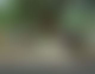 SPATIALITIES OF CLAIM