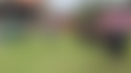 Round 15 News from the Umpires Desk