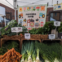 Purslane Farm logo