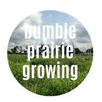 Bumble Prairie Growing logo