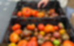 Crate of heirloom tomatoes at a farm stand