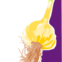 The Neighborhood Farm, LLC logo