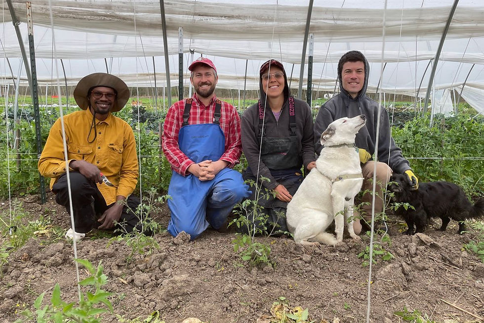 The River Queen Greens crew with their dogs in a greenhouse