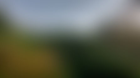 Paisaje cultural cafetero: FOTOGRAFÍA Y LITERATURA