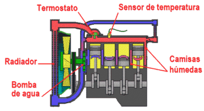 imagen 7.gif