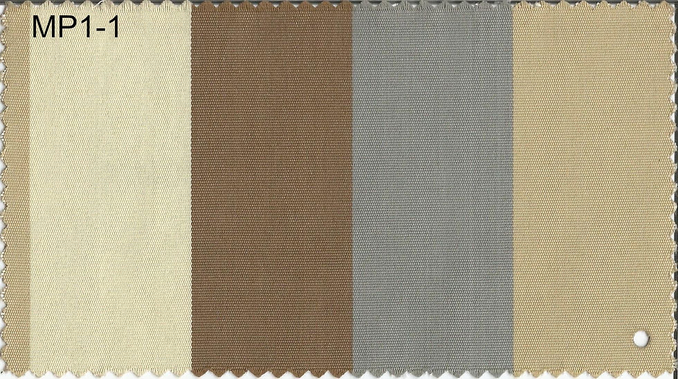 MP1-1