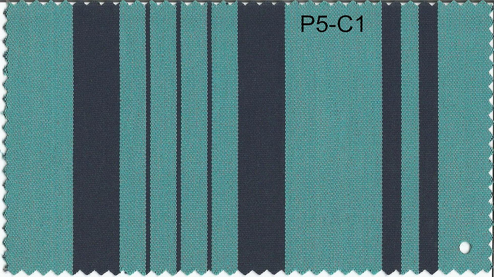 P5-C1