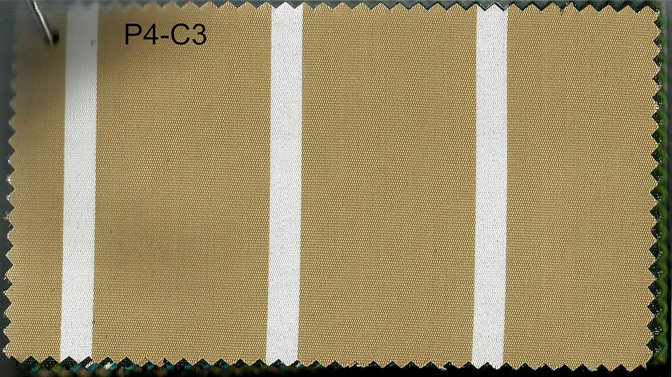 P4-C3