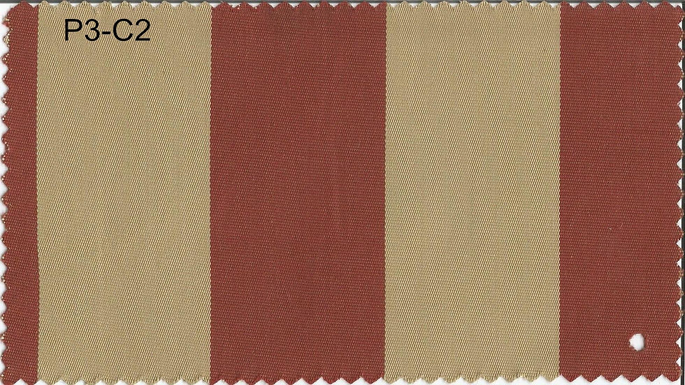 P3-C2