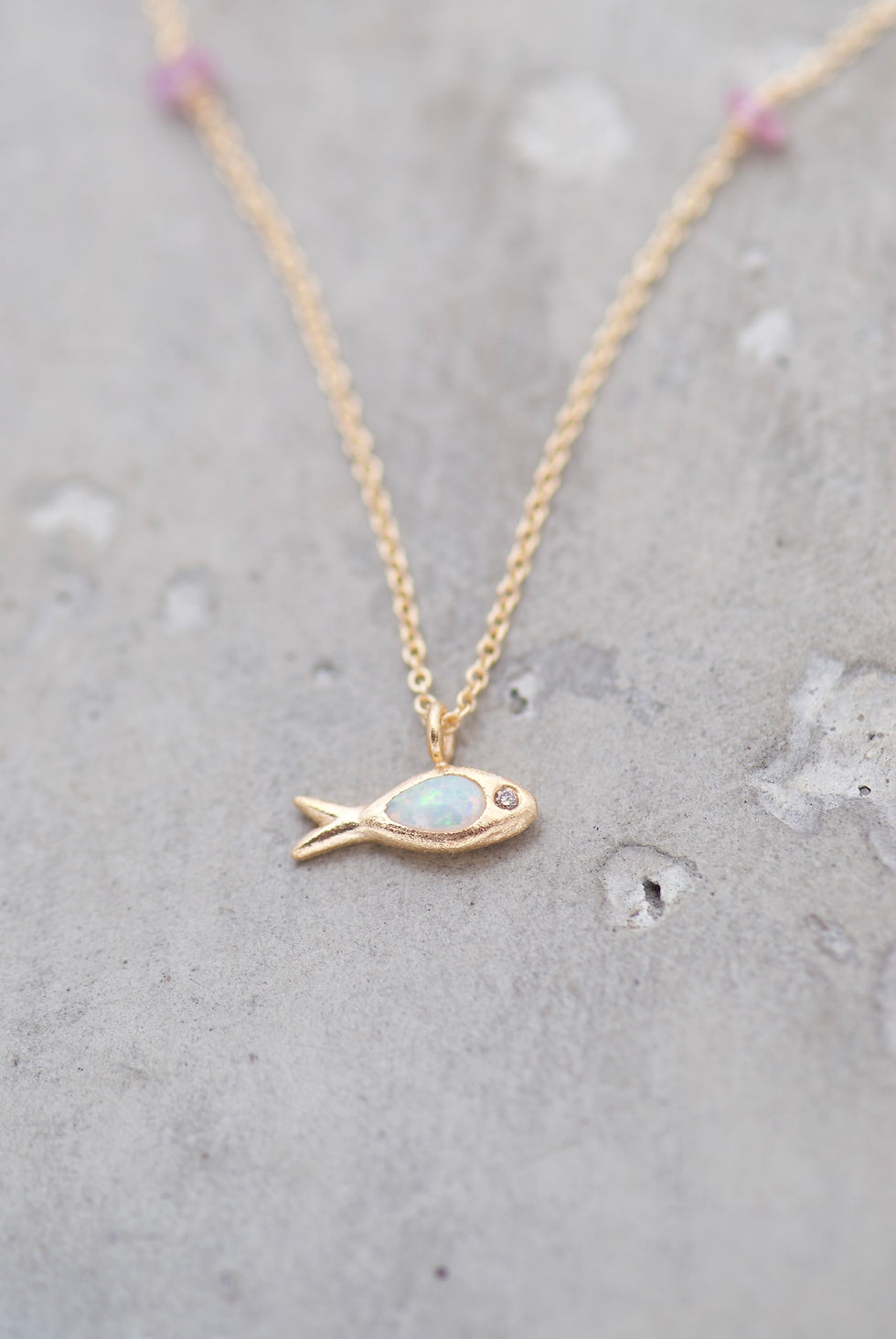ROSE ANCHOVY