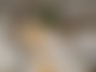 A cluttered table with scattered envelopes, papers, a plant, a magazine, and a list. Neutral colors and a feeling of organized chaos.