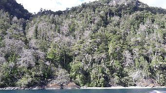 WhatsApp Image 2026-01-26 at 11.35.26.jpeg