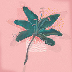 Rotting and Blooming