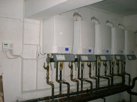 DSCN4105.JPG