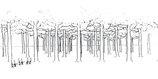 LIFEGATE | Arborvitae, the cemetery of the future is an urban forest 