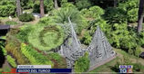 TG5 | A living architectural work at the Botanical Garden of Rome