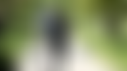 Roma, nasce il “cimitero verde”