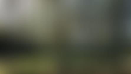 LA REPUBBLICA GREEN & BLUE | ll cimitero del terzo Millennio sarà un parco.